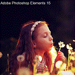 Adobe Photoshop Elements 15