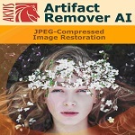 AKVIS Artifact Remover AI (Business版)