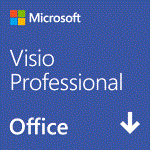 Visio Professional 2024 ܸ ()