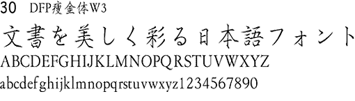DFPW3̃Tv摜
