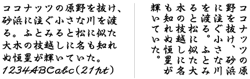 ȐB̃Tv摜