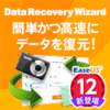 EaseUS Data Recovery Wizard Professional 12 / 1ライセンス
