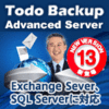 EaseUS Todo Backup Advanced Server 13 / 1ライセンス