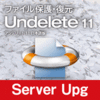 Undelete 11J Server アップグレード