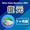 Wise Data Recovery PRO 1ヶ月版