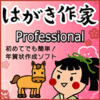 ͂ 19 Professional (2026ߔNevEtHgt)